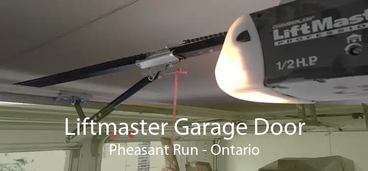 Liftmaster Garage Door Pheasant Run - Ontario