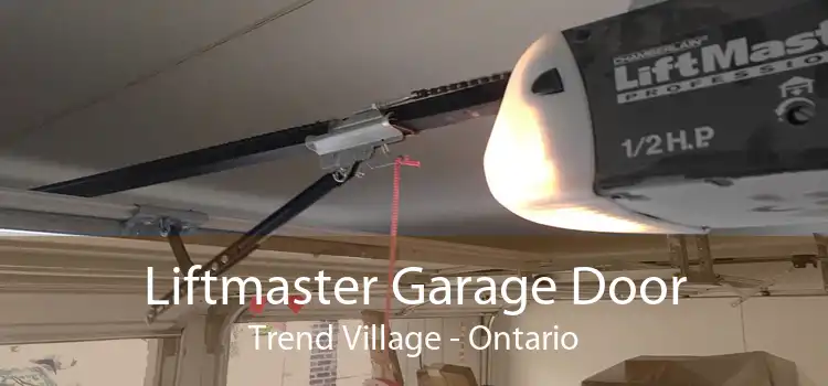 Liftmaster Garage Door Trend Village - Ontario