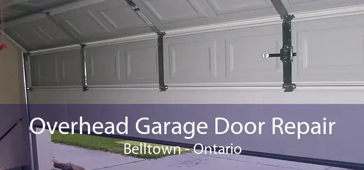 Overhead Garage Door Repair Belltown - Ontario