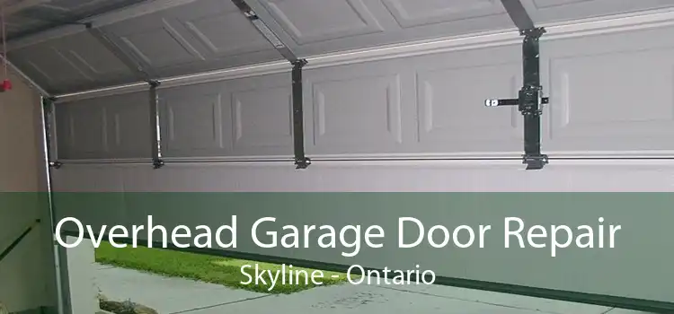 Overhead Garage Door Repair Skyline - Ontario