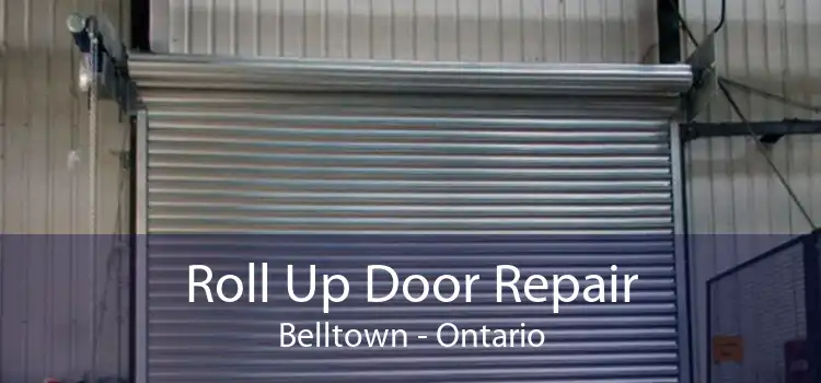 Roll Up Door Repair Belltown - Ontario