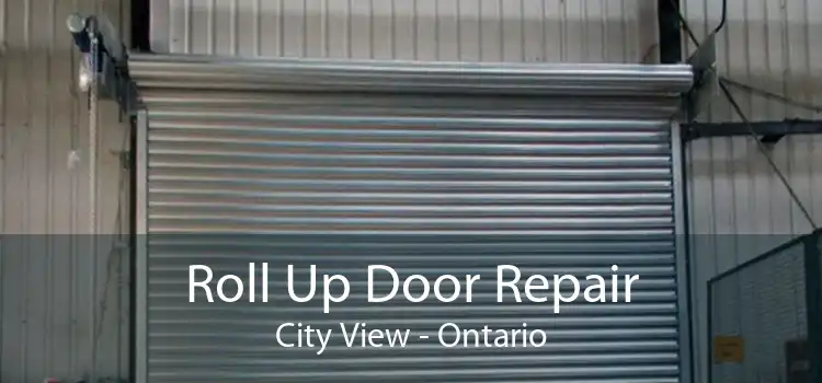 Roll Up Door Repair City View - Ontario