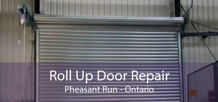 Roll Up Door Repair Pheasant Run - Ontario