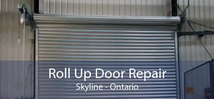 Roll Up Door Repair Skyline - Ontario