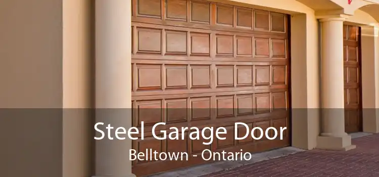 Steel Garage Door Belltown - Ontario